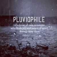 I am a pluviophile